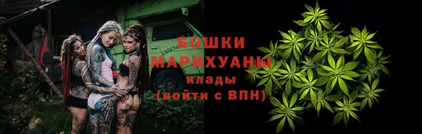 Альфа ПВП Аркадак