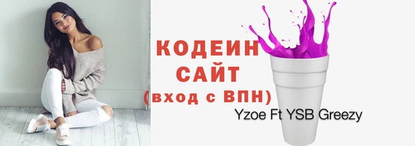 дмт Арсеньев