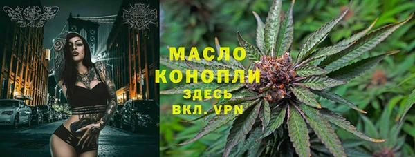 Альфа ПВП Аркадак