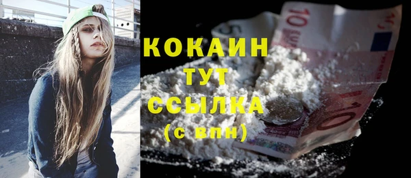 Альфа ПВП Аркадак